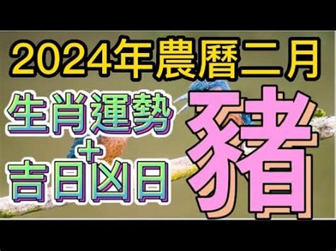 1995 農曆|1995年中國農曆,黃道吉日,嫁娶擇日,農民曆,節氣,節日